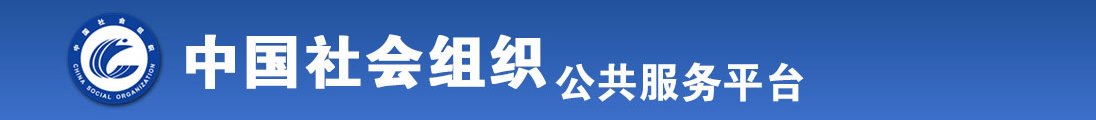 大鸡爸插小逼逼视频免费看网站全国社会组织信息查询